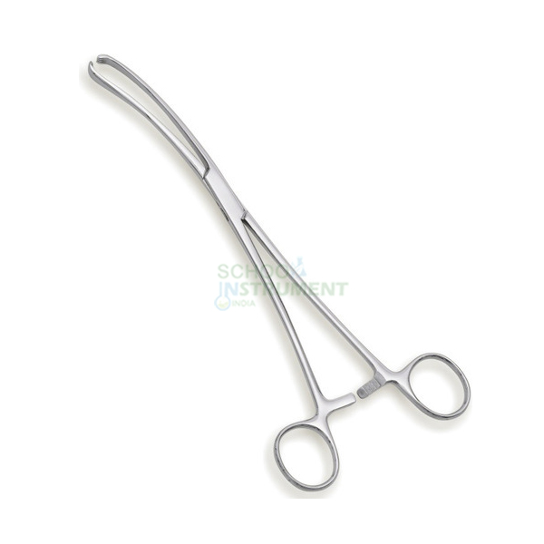 Vasculum Forcep